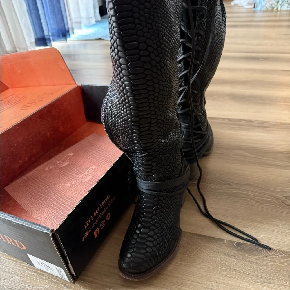 Freebird Coal black Snake - Picture 5 of 9